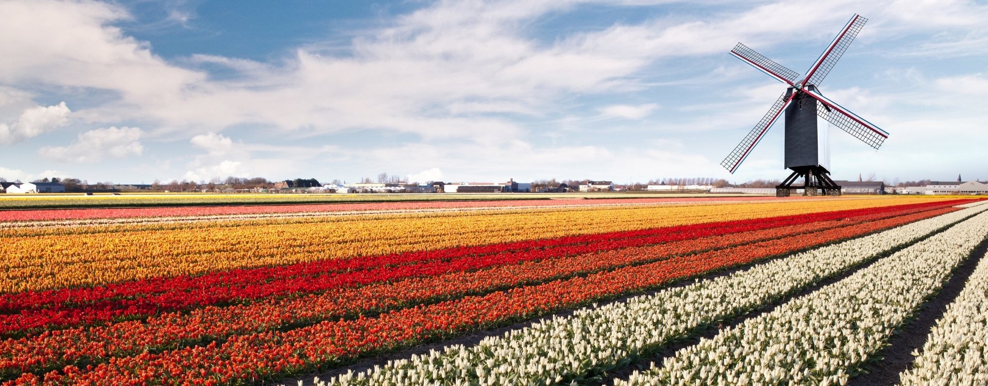 Bo og jobbe i Nederland