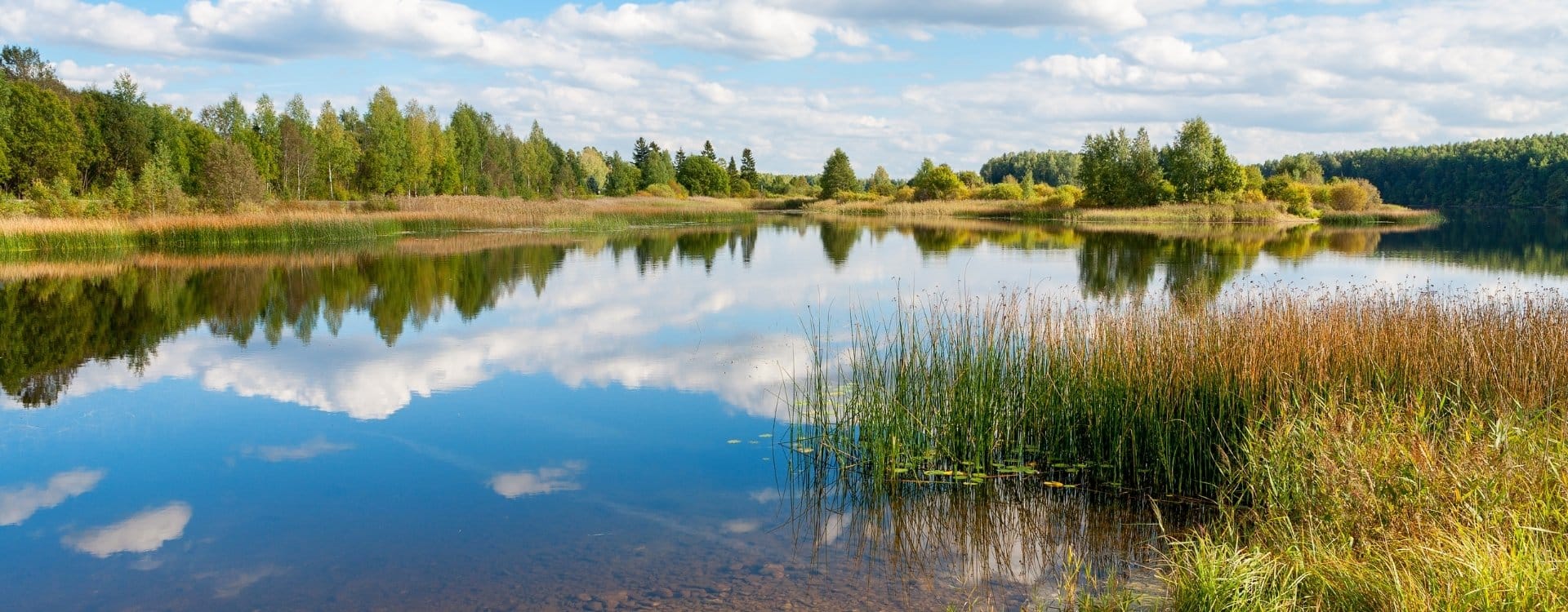 Asuminen ja työskentely Virossa