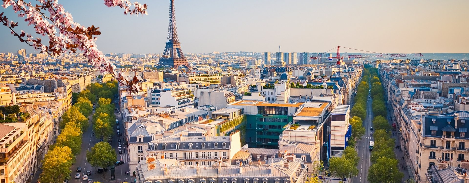 bo i paris