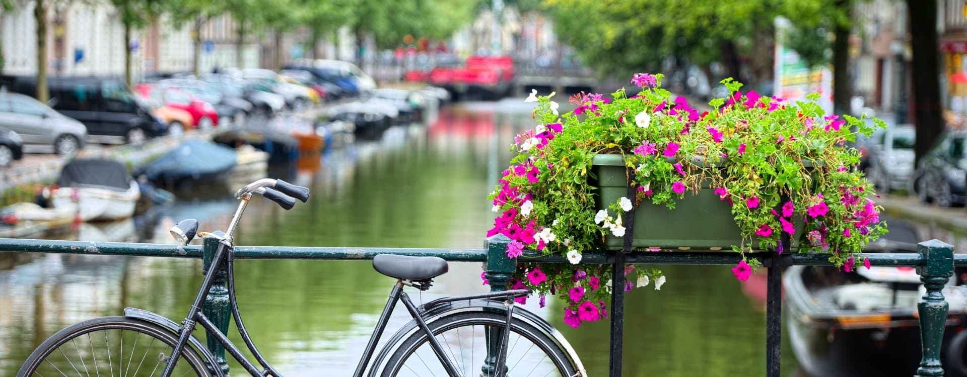 Bo og arbejde i Holland