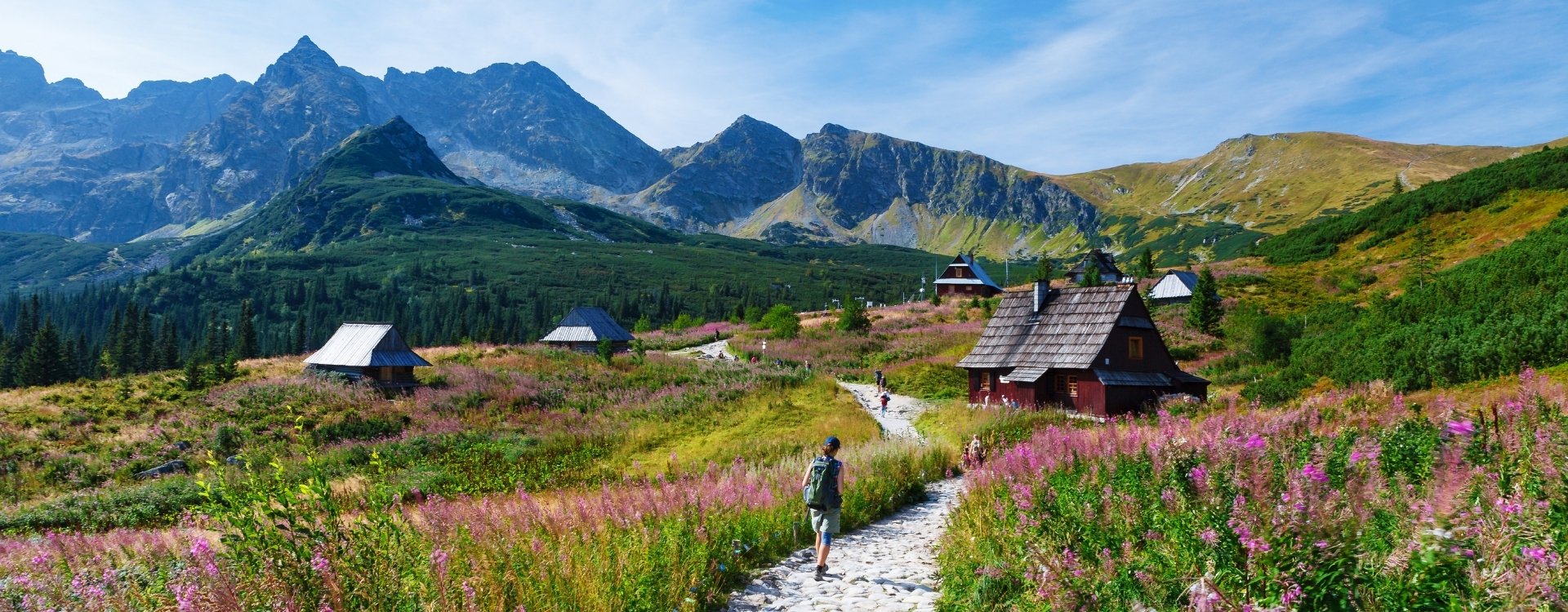 Het landschap en de natuur van Polen