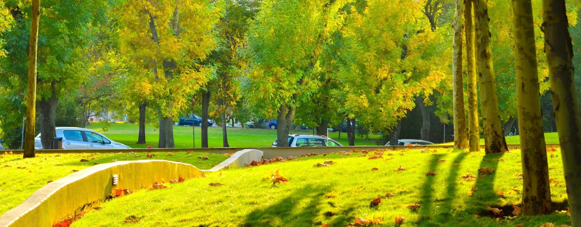 Landskab og natur i Bukarest