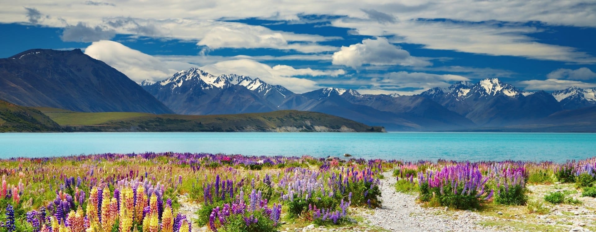 Landskab og natur i New Zealand