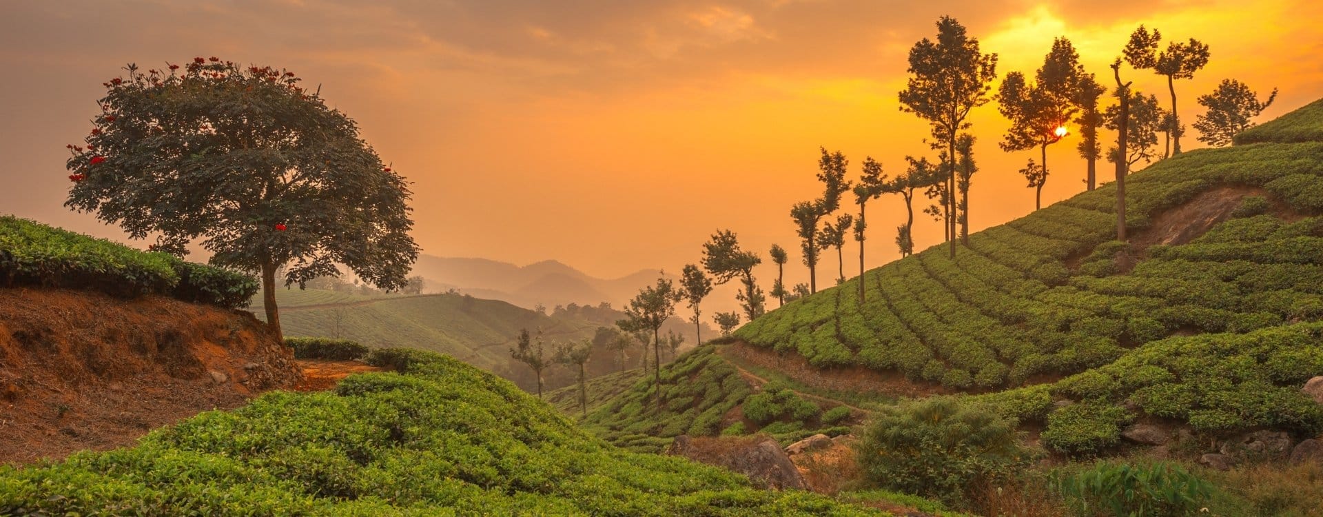 Leben und arbeiten in Indien