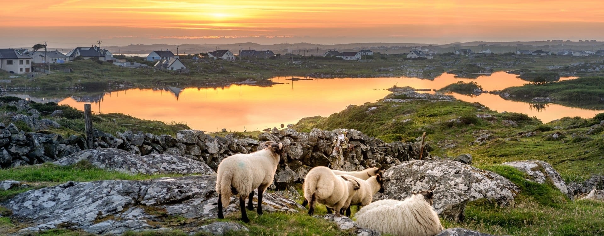 levenskosten irland