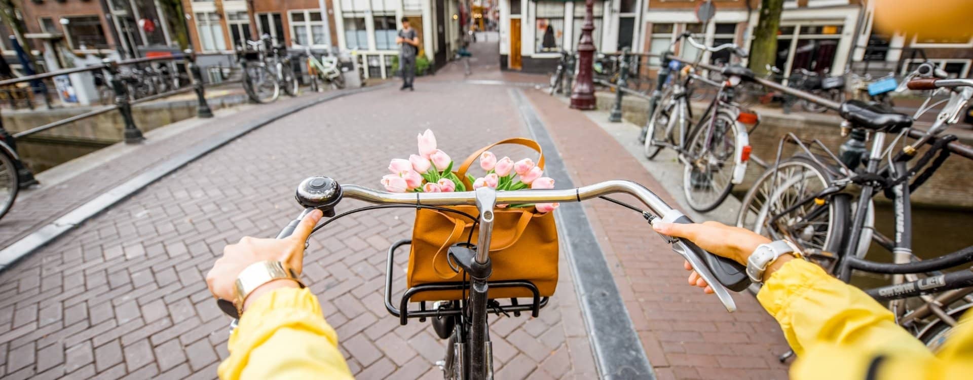 vivere e lavorare ad Amsterdam