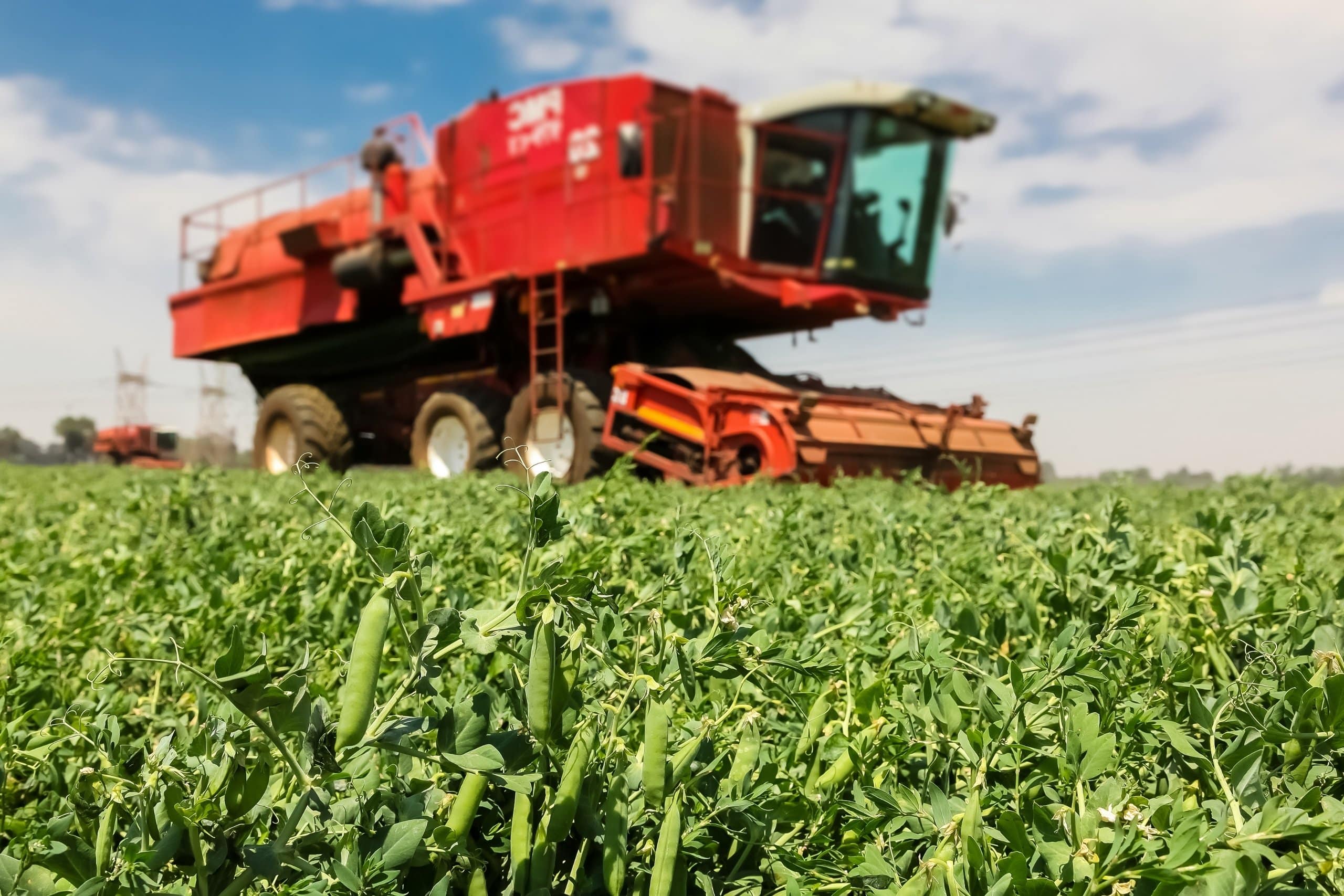 Farm Jobs