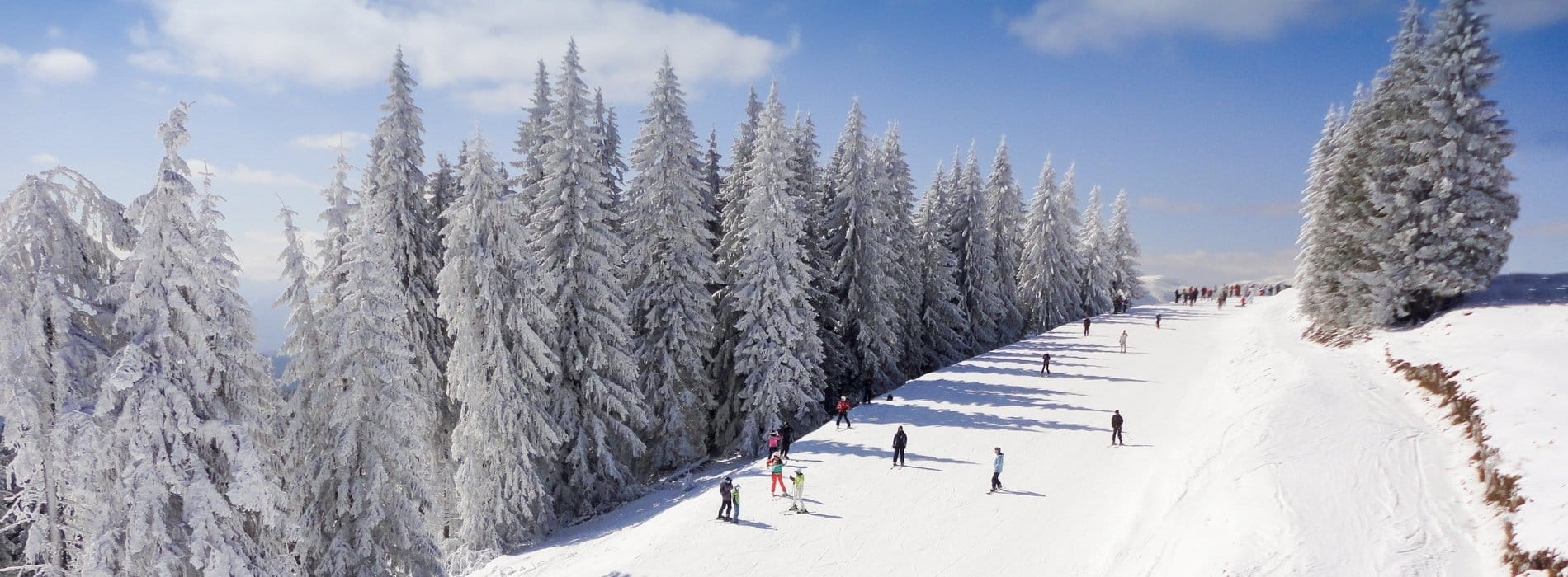 Ski Instructor Jobs In Switzerland