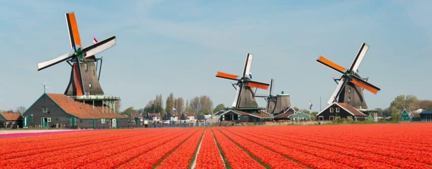 Landskab-og-natur-i-Holland