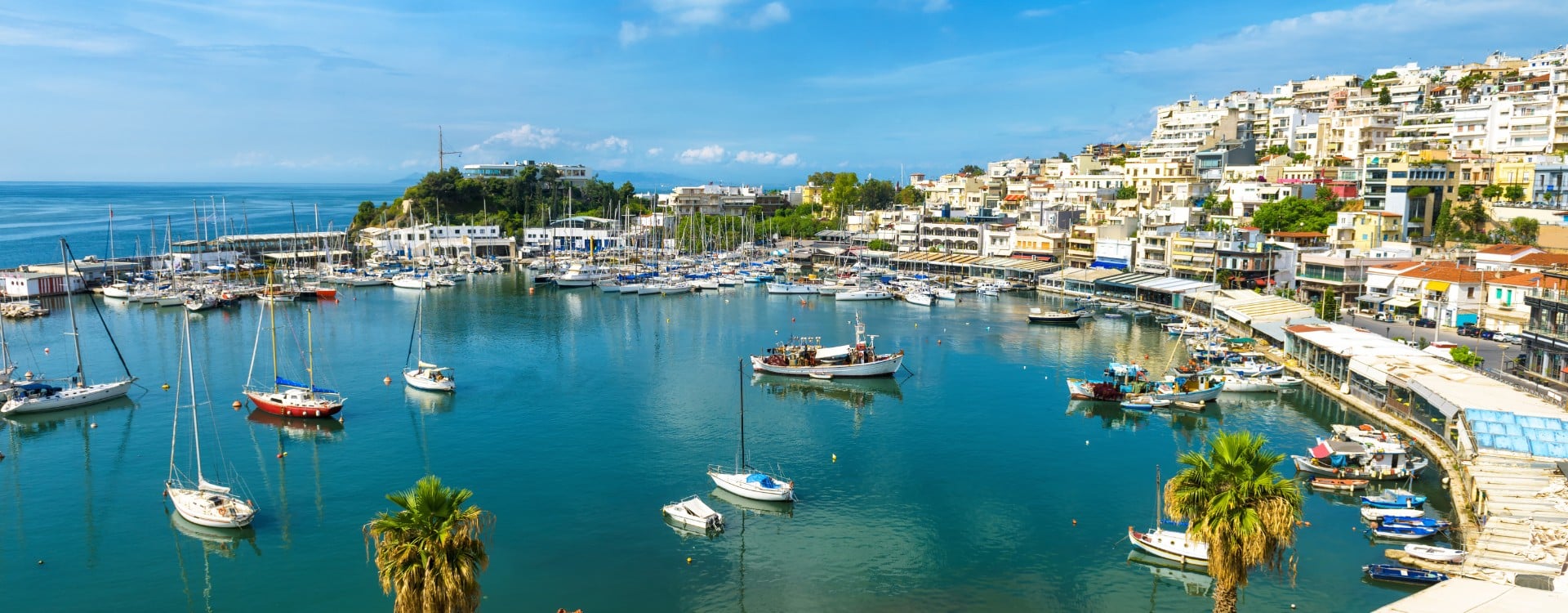 Dutch-speaking-B2B-Sales-Representative-needed-in-Athens-Greece