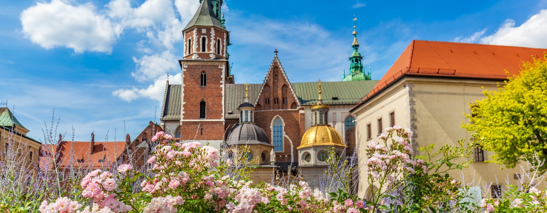 Digital-Sales-Representative-with-Czech-English-needed-in-Krakow-Poland.