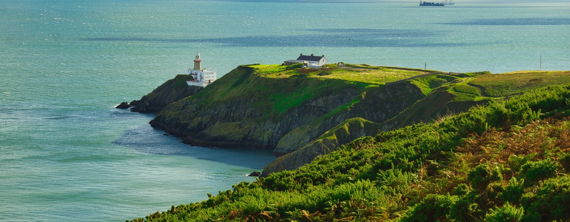 Swedish-Business-Development-Representative-needed-in-Dublin.