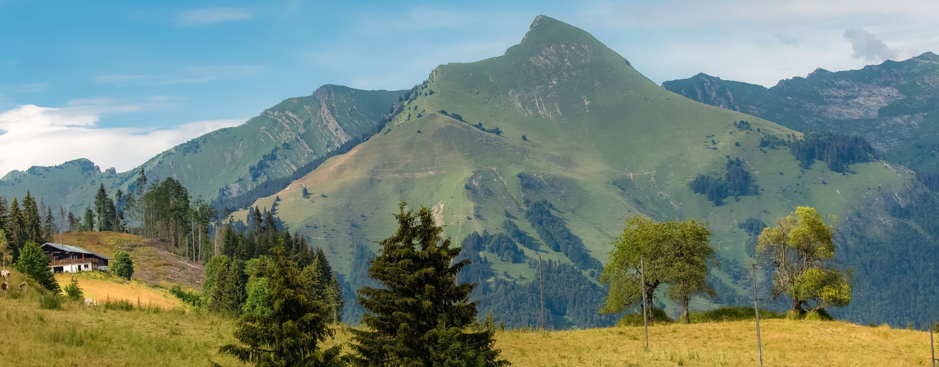 Property-guardians-needed-in-Morzine-France-