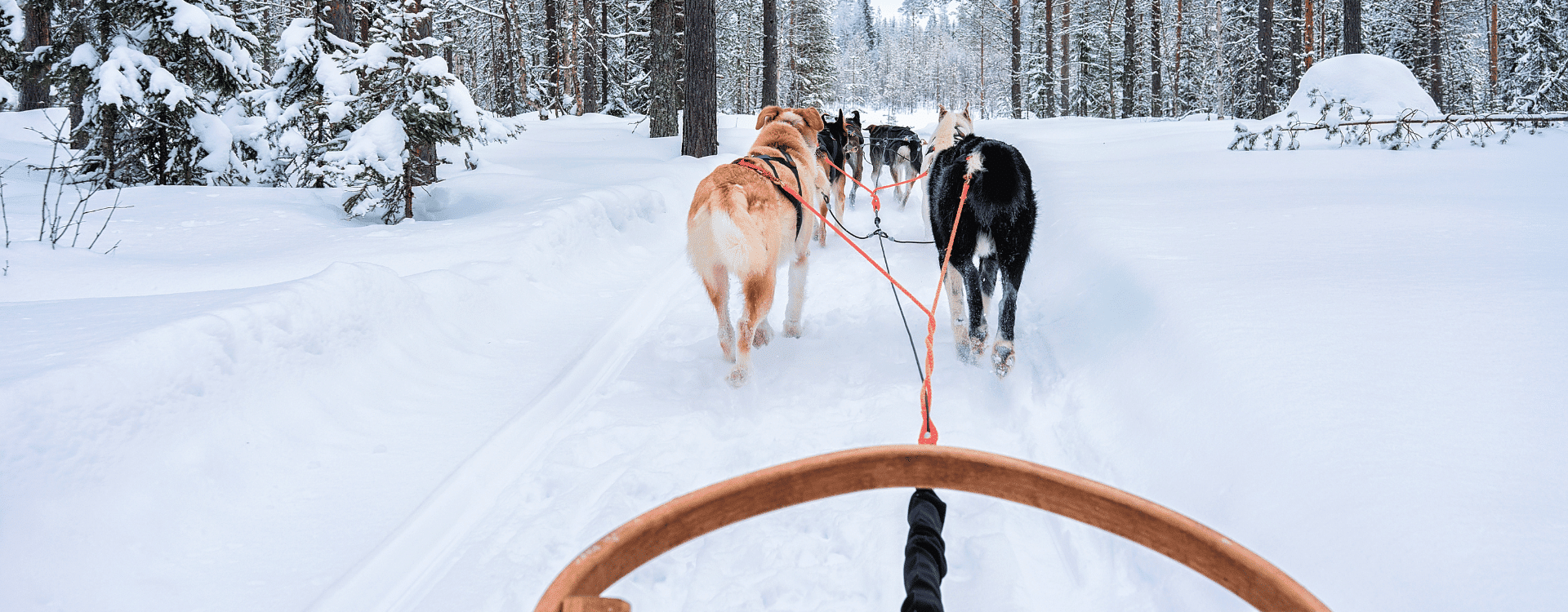 Adventure-Guide-needed-in-Rovaniemi-Finland