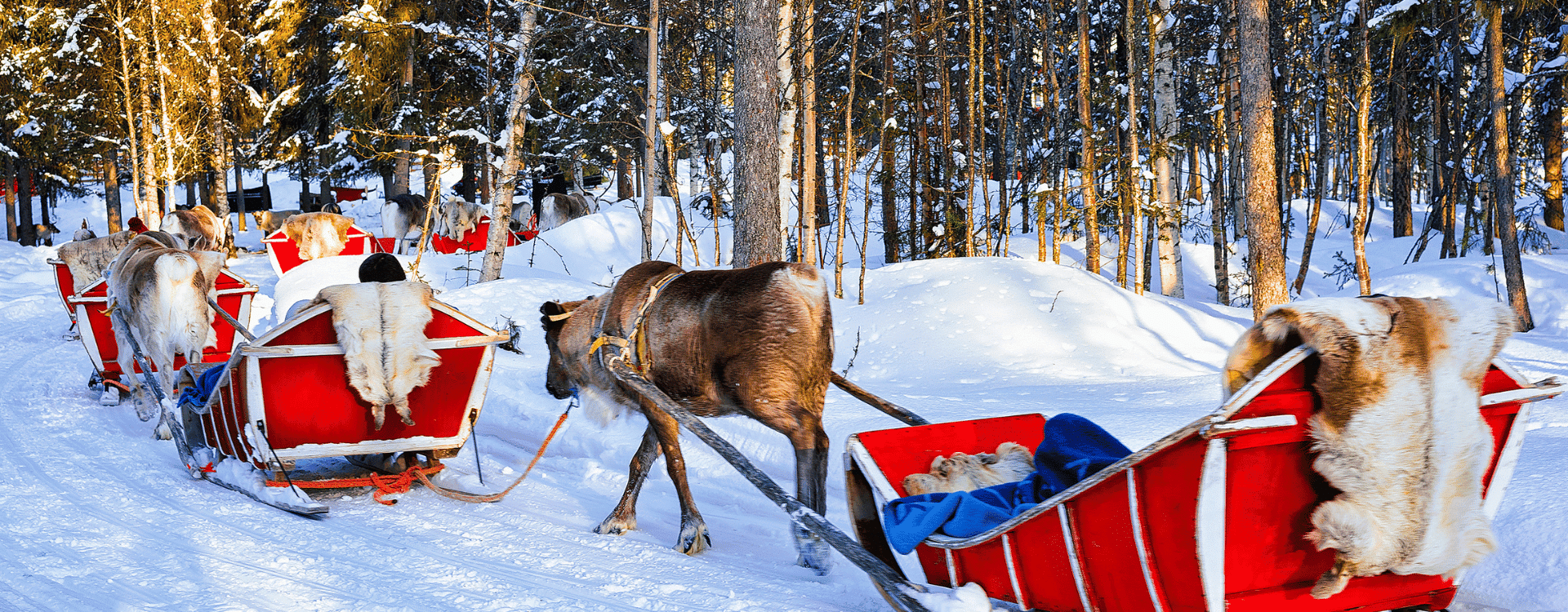 French-Sales-Agent-needed-in-Rovaniemi-Finland
