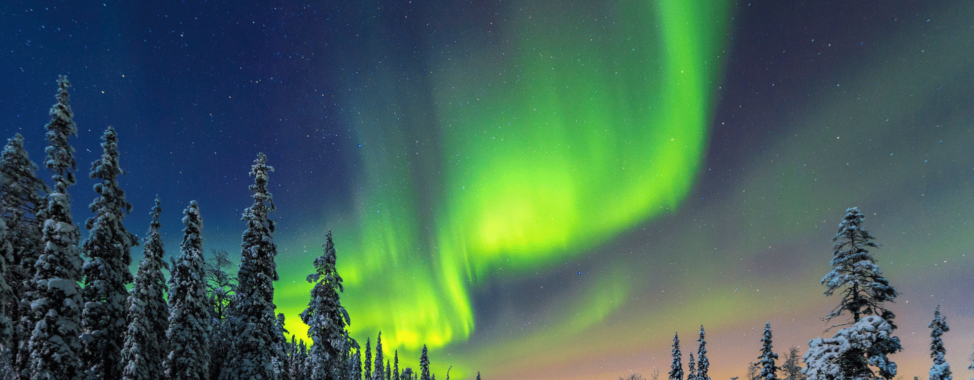 WaiterWaitress-needed-at-Aito-Igloo-and-Spa-Resort-in-Finland-