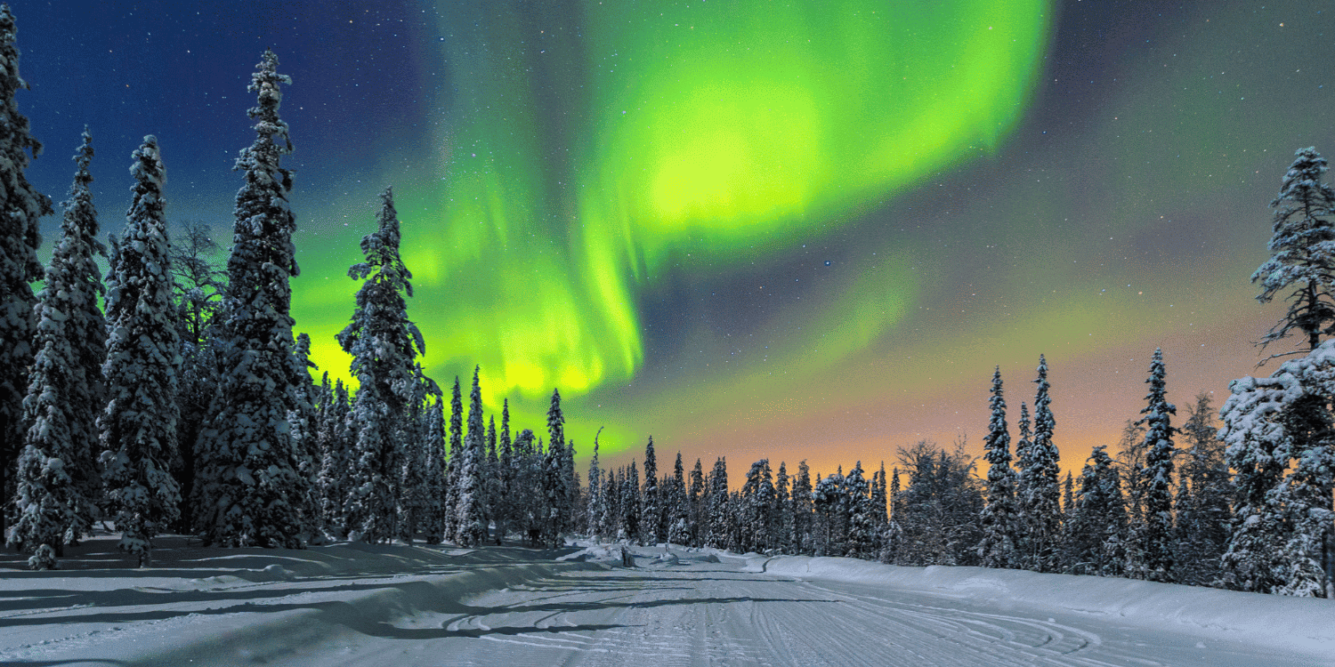 ← All Jobs Italian Sales Agent needed in Rovaniemi, Finland