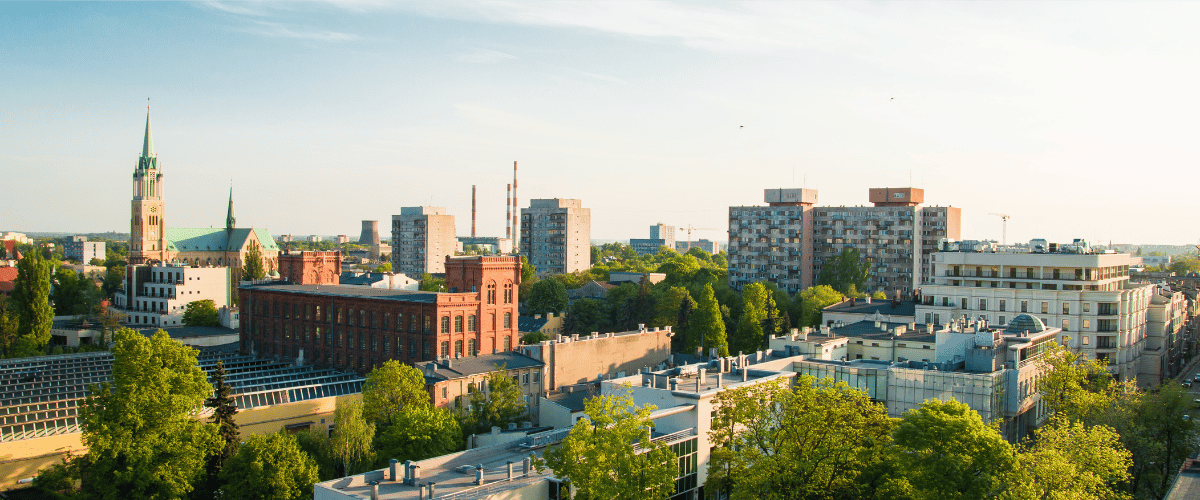 Dutch-speaking-Purchasing-Specialist-needed-in-Lodz-Poland-