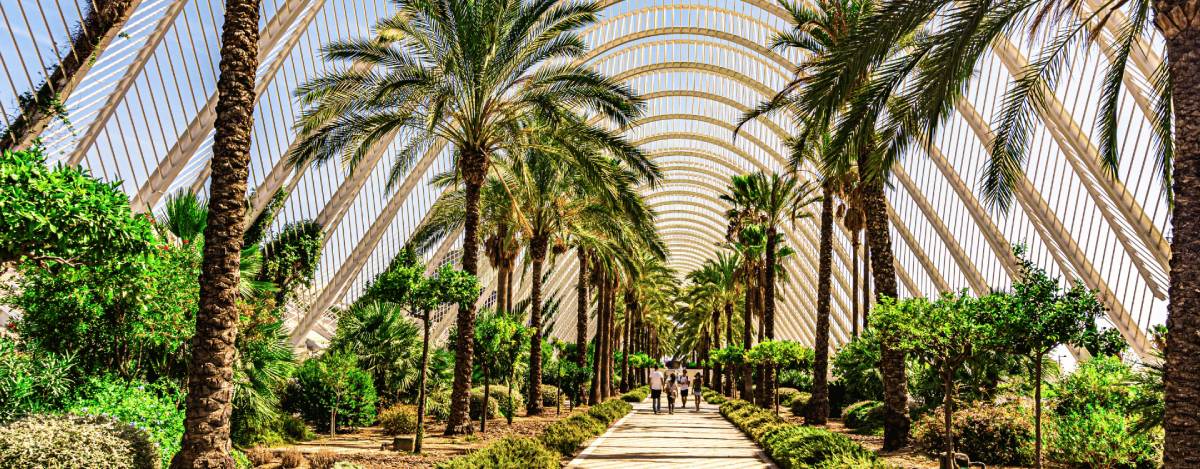 Klantendienstmedewerker-voor-de-Belgische-Markt-gezocht-in-Valencia listing