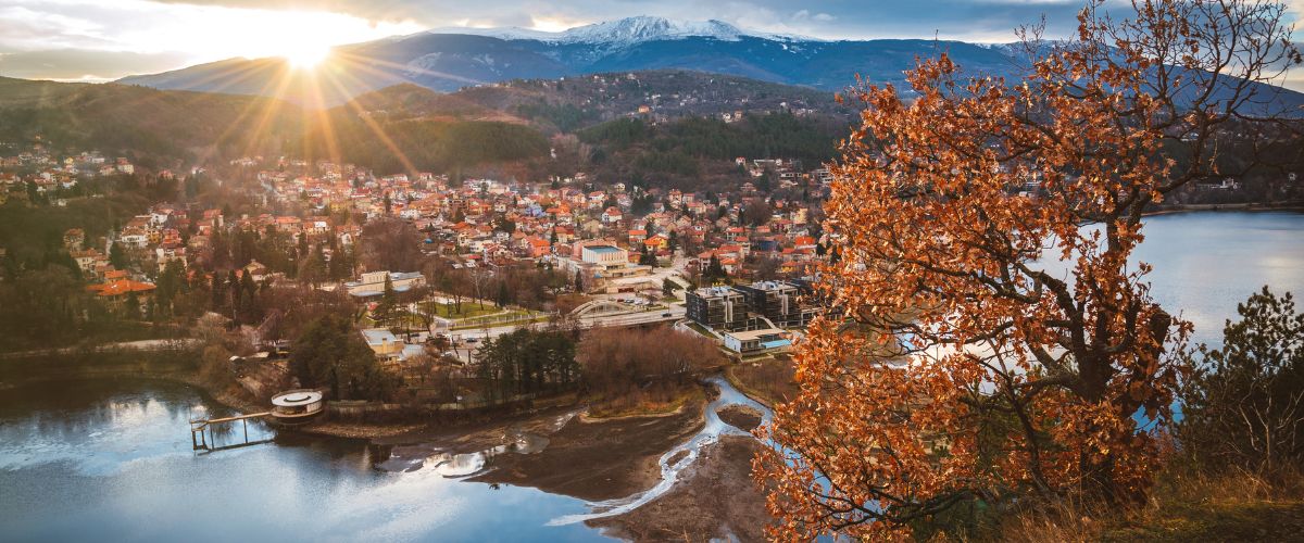 Sales Support Agent - Dutch Work & Live in Sofia