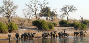 botswana