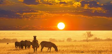 namibia