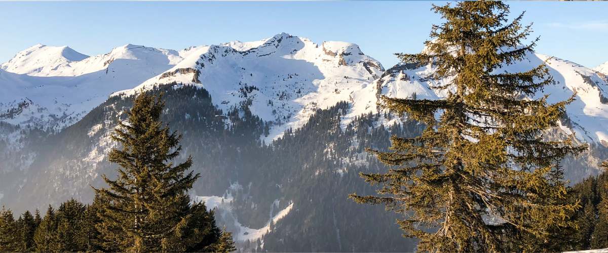 Chef-Winter-at-Le-Local-Morzine-10th-Dec-2025-6th-April-2026