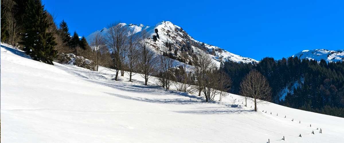KPKitchen-Assistant-at-Le-Local-Morzine-10th-Dec-2025-6th-April-2026