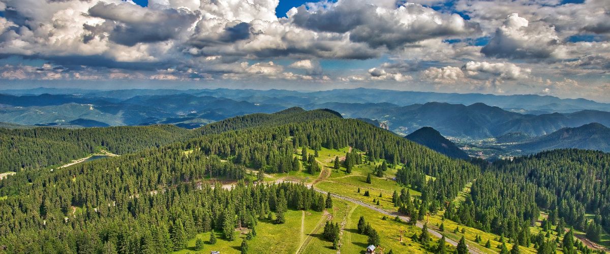 Solutions Consultant with Norwegian and English. Relocation to Sofia, Bulgaria