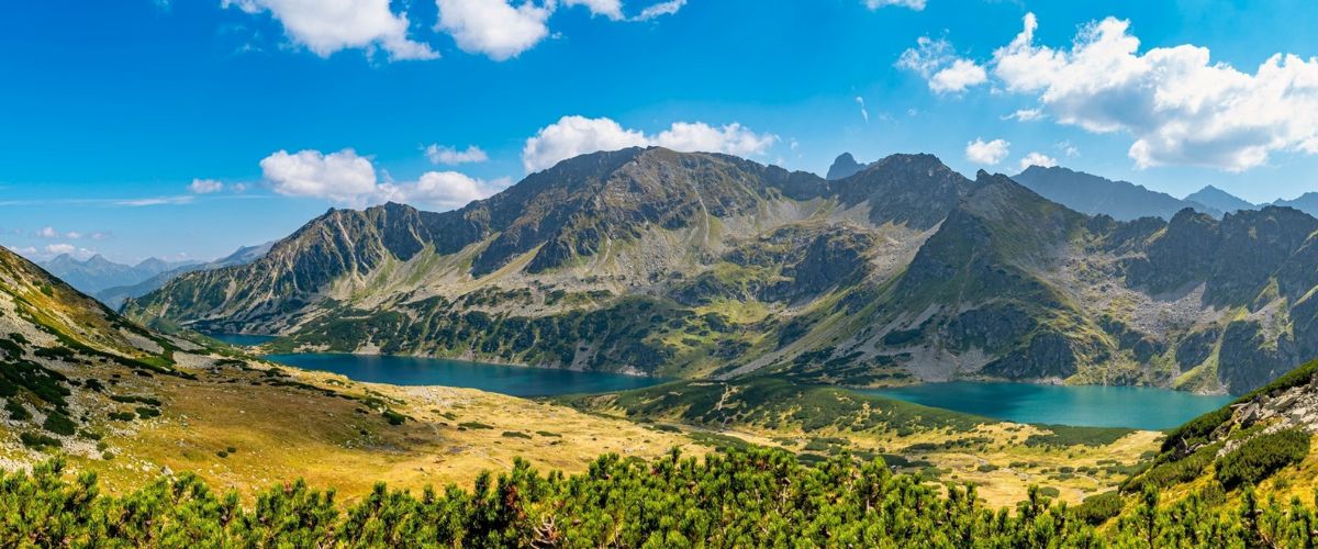 Digital Sales Representative with Czech/Slovak-English