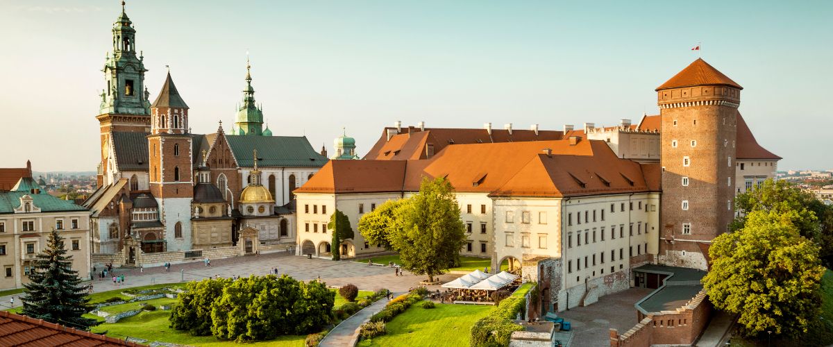 German-English Digital Sales Representative