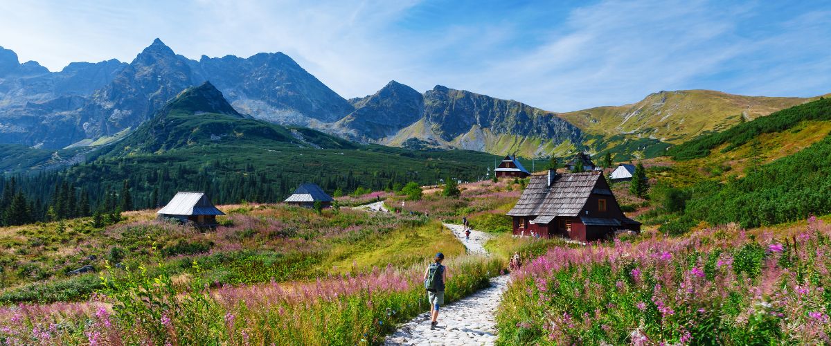 German-English Digital Sales Representative (2)