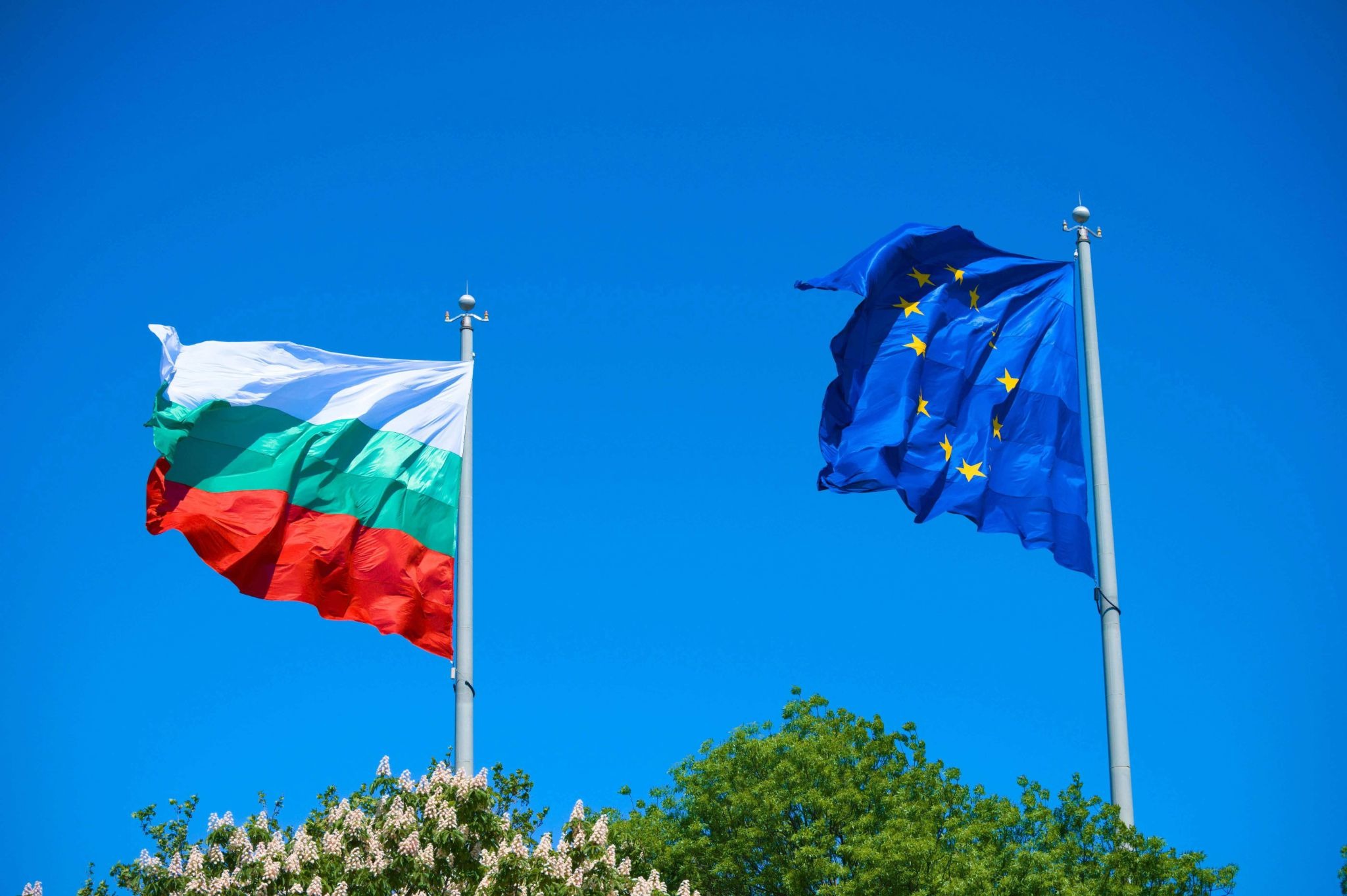 in-demand languages for jobs in Bulgaria
