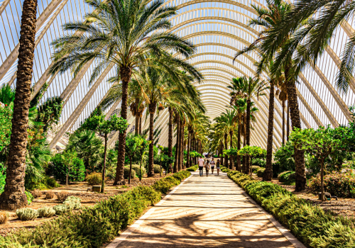 Ga op avontuur naar Valencia als Backoffice Medewerker