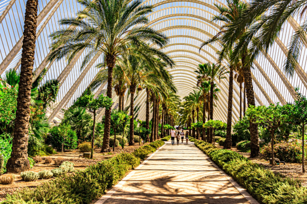 Ga op avontuur naar Valencia als Backoffice Medewerker