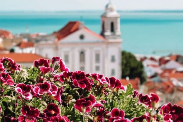 Arabic-Speaking-video-content-analyst-needed-in-Lisbon