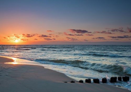 Business Development Representative with English (Evening Shifts)