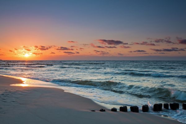 Business Development Representative with English (Evening Shifts)