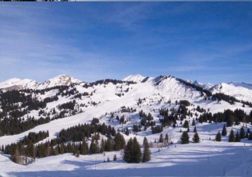 Chalet-host-chef-coppia-al-SpoonyCooks-Private-Chefs-dicembre-marzo.