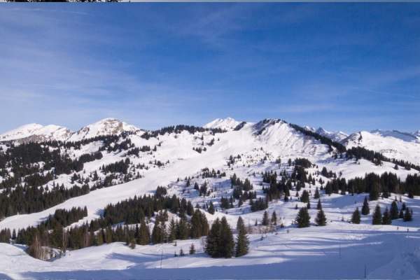 Chalet-hosted-kockpar-vid-SpoonyCooks-Privatkockar-december-änd-mars.