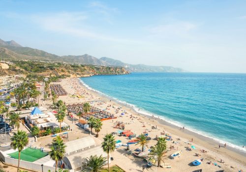 Danish Sales & Lead Generation Manager in Malaga