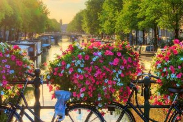 Deutschsprachiger-Account-Manager-in-Amsterdam-gesucht-12