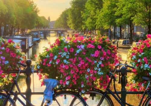Deutschsprachiger Account Manager in Amsterdam gesucht