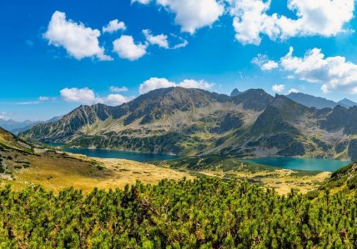 Digital Sales Representative with Czech/Slovak-English