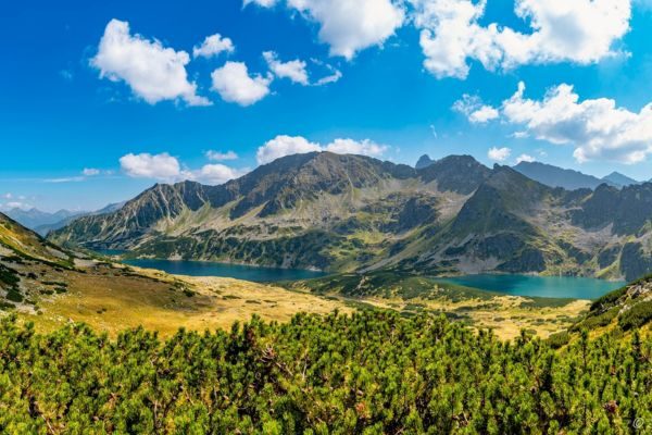 Digital Sales Representative with Czech/Slovak-English