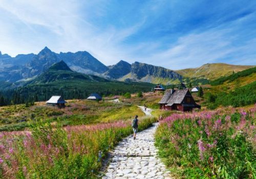 Deutsch-Englisch Digital Sales Representative (2)