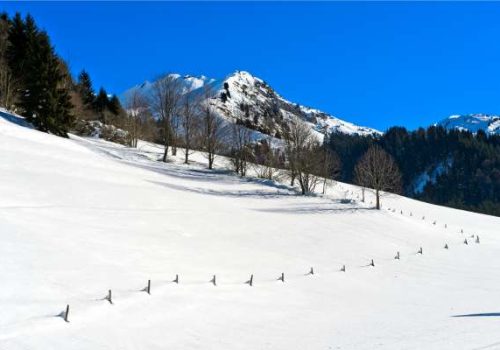KPKitchen-Assistant-at-Le-Local-Morzine-10th-Dec-2025-6th-April-2026