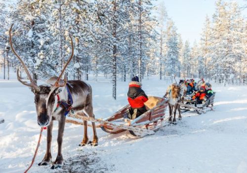 🎯 Operation Coordinator in Lapland – Plan Arctic Adventures in Finland!
