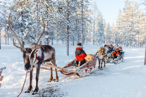 🎯 Operation Coordinator in Lapland – Plan Arctic Adventures in Finland!