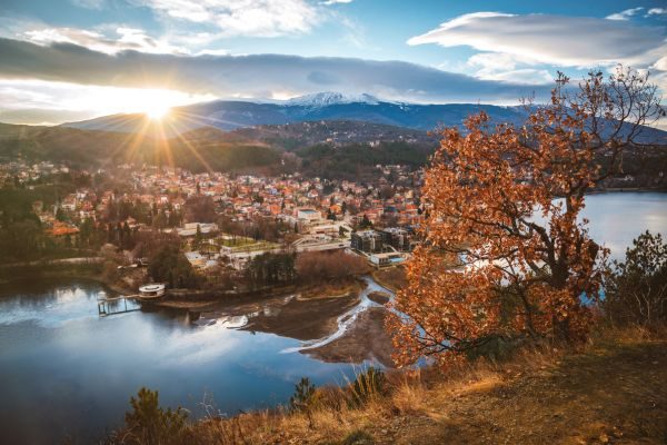 Sales Support Agent - Dutch Work & Live in Sofia